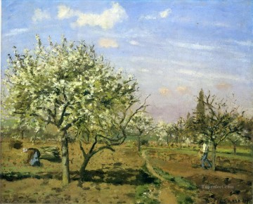  1872 Works - orchard in blossom louveciennes 1872 Camille Pissarro scenery